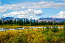 Schöne Aussicht auf die Alaska Range. Teiche, Herbstfarben und majestätische Berge und Täler; Alaska, Vereinigte Staaten von Amerika — Stockfoto