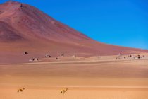 Deserto de Salvador Dali; Potosi, Bolívia — Fotografia de Stock