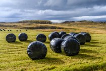 Pacas redondas de heno envueltas en polipropileno negro; Fljotsdalsherad, Región Oriental, Islandia - foto de stock