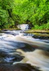 River in a forest with a waterfall in summer, long exposure; Clare Glens, County Tipperary, Ireland — Stock Photo