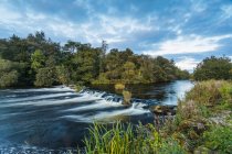 Небольшой каскад на реке Шэннон за пределами Каслконнелла с небольшим лесом на заднем плане; Каслконнелл, Лимерик, Ирландия — стоковое фото