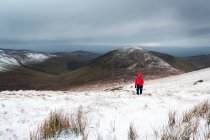 Caminhante solitário mulher em casaco vermelho trekking até uma montanha coberta de neve no inverno em um dia nublado, Galty Mountains; County Tipperary, Irlanda — Fotografia de Stock