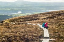 Lone female hiker with a backpack sitting on a wooden boardwalk trail reading a map on a mountain on a sunny day with a river and fields in the background; Killaloe, Clounty Clare, Ireland — Stock Photo