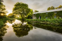 Ancien bâtiment recouvert de lierre sur les rives du Grand Canal avec le coucher du soleil entre les arbres au loin ; Milltown, comté de Kildare, Irlande — Photo de stock