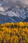 Colori autunnali sulle montagne Chugach; Alaska, Stati Uniti d'America — Foto stock
