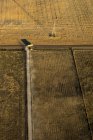 Грузовик, оставляющий пыльный след при перекрытии одной сельской дороги в другую в окружении сельскохозяйственных полей с линией электропередачи, проходящей через; Колорадо, Соединенные Штаты Америки — стоковое фото