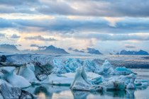 Icebergs na lagoa glacial Jokulsarlon, sul da Islândia; Islândia — Fotografia de Stock