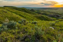 Late afternoon light illuminating the hills and prairies of Grasslands National Park; Val Marie, Saskatchewan, Canada — Stock Photo