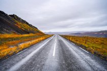 Camino que conduce a la distancia bordeada por la tundra de color otoñal; Reykolahreppur, Westfjords, Islandia - foto de stock
