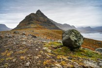 Paysage accidenté avec lichen coloré sur le rivage et sommets montagneux le long des fjords ; Sudavik, Westfjords, Islande — Photo de stock