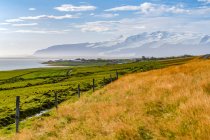 Terras agrícolas exuberantes ao longo da costa de Hornafjorour, na Islândia Oriental; Região Oriental, Islândia — Fotografia de Stock