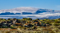 Terreno accidentato con tundra colorata in primo piano e terra innevata ghiacciata sullo sfondo; Skaftarhreppur, Regione meridionale, Islanda — Foto stock