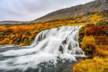 Dynjandi (também conhecido como Fjallfoss) é uma série de cachoeiras localizada nos fiordes ocidentais, na Islândia. As cachoeiras têm uma altura total de 100 metros; Isafjaroarbaer, Westfjords, Islândia — Fotografia de Stock