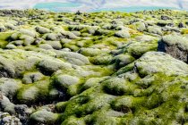 Крупный план покрытых мхом скал на пересеченной местности с ледником и ледниковой лагуной на заднем плане; Скафтарреппур, Южный регион, Исландия — стоковое фото