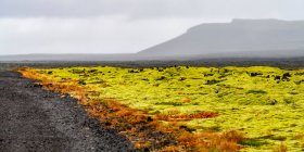 Bright green tundra in the fog and silhouetted mountains in the distance in Southern Iceland; Olfus, Southern Region, Iceland — Stock Photo
