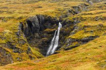 Cascate che scorrono lungo un paesaggio in pendenza con tundra colorata autunnale; Sudavik, Westfjords, Islanda — Foto stock