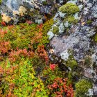 Gerduberg-Klippe aus Dolerit, einem kornförmigen Basaltgestein, gelegen auf der westlichen Halbinsel Snaefellsnes; Eyja- og Miklaholtshreppur, Western Region, Island — Stockfoto