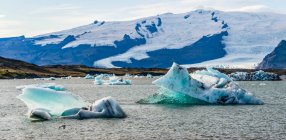 Der Gletschersee Jokulsarlon, der durch eine kurze Wasserstraße in den Atlantik fließt und Eisbrocken an einem schwarzen Sandstrand hinterlässt, Nationalpark Vatnajokull; Hornafjordur, östliche Region, Island — Stockfoto
