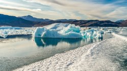 Айсберги вздовж узбережжя Ґренландії; Сермерсук (Ґренландія) — стокове фото