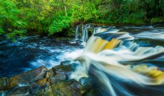 Eau coulant sur la lèvre d'une cascade sur une rivière dans une forêt en Irlande ; Clare Glens, comté de Tipperary, Irlande — Photo de stock