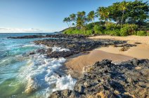Coastline of Maui with rugged lava rock and palm trees; Kihei, Maui, Hawaii, United States of America - foto de stock