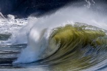 Wave curling as it гребет на мысе Разочарование; Ilwaco, Вашингтон, Соединенные Штаты Америки — стоковое фото