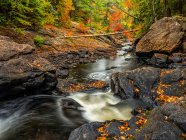 Acqua del fiume York che scorre sulle cascate durante l'autunno nel Parco Provinciale di Algonquin; Ontario, Canada — Foto stock