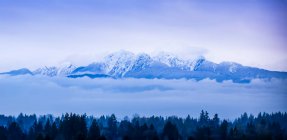 Vista de montañas cubiertas de nieve y nubes bajas sobre un bosque, vista desde Surrey, BC; Surrey, Columbia Británica, Canadá - foto de stock