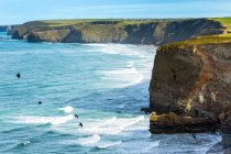 Formation rocheuse avec champs verts, ciel bleu et oiseaux noirs survolant la mer ; comté de Cornwall, Angleterre — Photo de stock