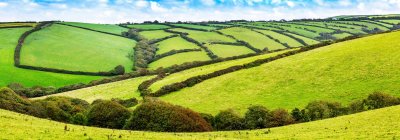 Panorama de retalhos montanhosos de campos verdes rodeados por árvores e arbustos com céu azul e nuvens; Cornwall County, Inglaterra — Fotografia de Stock