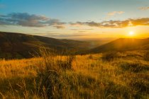 Sunset in summer over the Silvermine Mountains with tall grass in the foreground overlooking a valley; County Tipperary, Ireland — Stock Photo