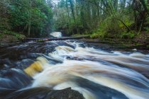 Cascate del fiume Clare Glens in una giornata nuvolosa e lunatica; Contea di Tipperary, Irlanda — Foto stock