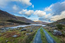 Piccola strada di campagna con erba nel mezzo che conduce attraverso una valle verso un lago circondato da montagne in una sera d'estate; Black Valley, Contea di Kerry, Irlanda — Foto stock