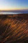 Grama longa soprando ao vento no lado de uma colina com vista para um lago ao pôr do sol; County Tipperary, Irlanda — Fotografia de Stock
