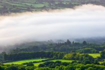 Campos verdes del campo irlandés cubiertos de niebla; Killaloe, Condado de Clare, Irlanda - foto de stock