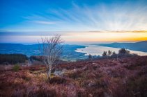 Одинокая березка на холме, окруженном возвышенностями, с видом на озеро на восходе солнца; Киллало, графство Клэр, Ирландия — стоковое фото
