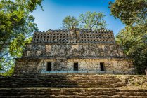 Yaxchilan, eine alte Maya-Stadt; Provinz Usumacinta, Chiapas, Mexiko — Stockfoto