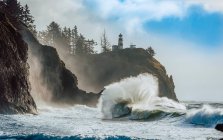 Мис Розчарування Світло з великими хвилями врізається на берег нижче, Кейп Розчарування; Вашингтон, Сполучені Штати Америки — стокове фото