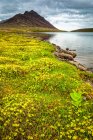Rabbit Lake surrounded with tundra flowers, McHugh Peak is in the background. Chugach State Park, South-central Alaska in summertime; Anchorage, Alaska, United States of America — Stock Photo