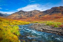 Kuyuktuvuk Creek e Brooks Mountains em cores de outono sob o céu azul. Gates of the Arctic National Park and Preserve, Arctic Alaska in autumn; Alaska, Estados Unidos da América — Fotografia de Stock