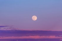 Luna llena en un cielo púrpura al anochecer con una capa de nubes en el horizonte; Surrey, Columbia Británica, Canadá - foto de stock