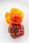 Tres variedades y colores de tomates de reliquia sobre un fondo blanco; Surrey, Columbia Británica, Canadá - foto de stock