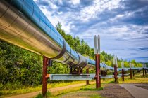 Trans-Alaska Pipeline, Intérieur de l'Alaska en été ; Fairbanks, Alaska, États-Unis d'Amérique — Photo de stock