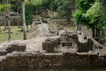 Maya Civilization; Copan, Honduras — Fotografia de Stock