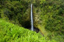 Водопад Акака; Большой остров, Гавайи, Соединенные Штаты Америки — стоковое фото