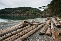 Driftwood On The Shore And Deception Pass Bridge In The Distance; Oak Harbor, Washington, United States Of America — стокове фото