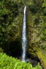Водоспад Акака; Великий острів, Гаваї, США — стокове фото