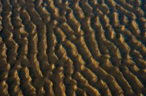 Low Tide Reveals Patterns On The Beach; Cannon Beach, Oregon, United States Of America — Stock Photo