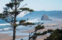 Haystack Rock and Tillamook Head - хорошо известные достопримечательности на побережье Орегона; Орегон, Соединенные Штаты Америки — стоковое фото