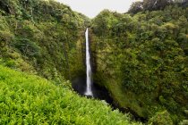 Водопад Акака; Хило, остров Гавайи, Гавайи, Соединенные Штаты Америки — стоковое фото